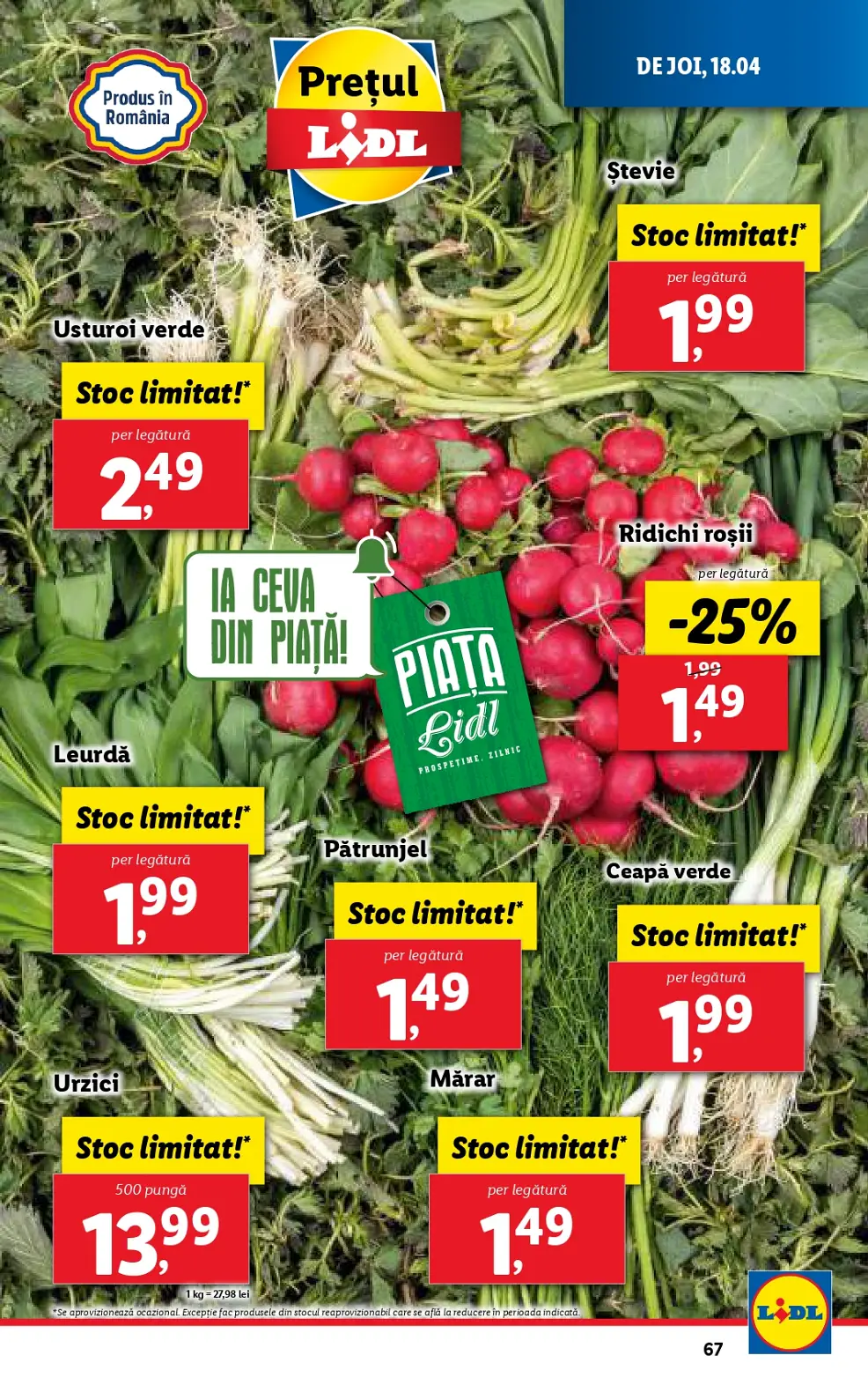 catalog Lidl